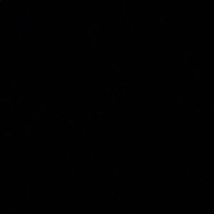 Meet your Posher, Jodi